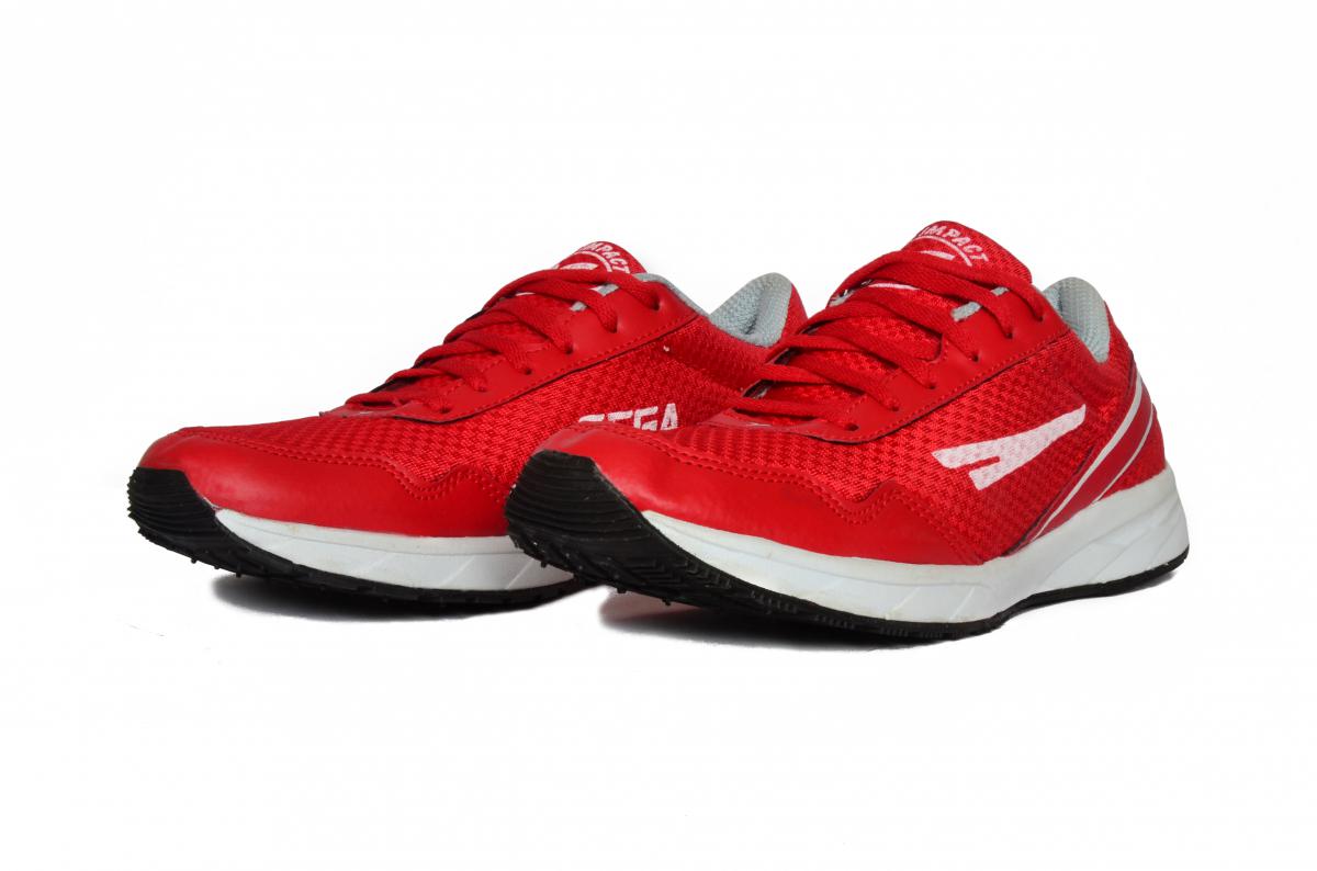 SEGA - Edge Multipurpose/Jogging Shoes